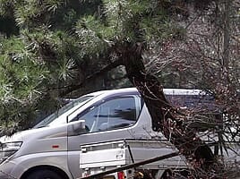 Amateur Milf Hardcore Fucking